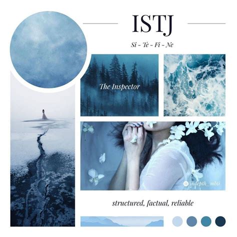 The Weird Den MBTI Aesthetics Color Palette Istj Personality Myers