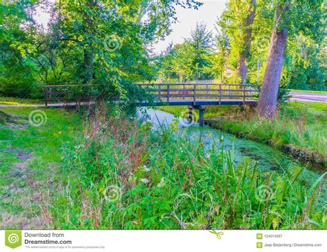 Wooden Bridge To Cross Over The River In A Forest Landscape Stock Image