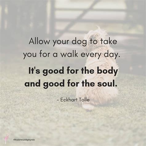 A Lovely Quote About Dog Walking Animal Quotes Dog Quotes Dog Walking