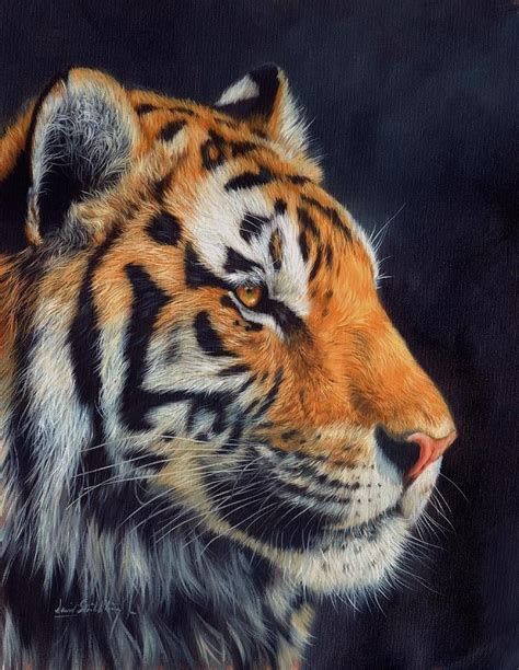Tiger Profile By David Stribbling Tiger Profile Tiger Painting Animals
