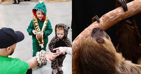 See Your Favourite Animals At The Wildlife Festival In Calgary This