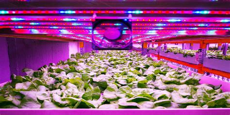 Forfarming Creating The Right Climate In Vertical Farm