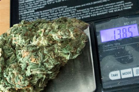 So how many grams are in a pound of weed? Best Scales for Weed + Weight Measurement Charts | Mold ...