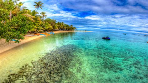 Tropical Island Sandy Beach Palm Trees Ocean With