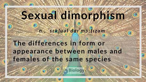 Sexual Dimorphism Definition And Examples Biology Online Dictionary