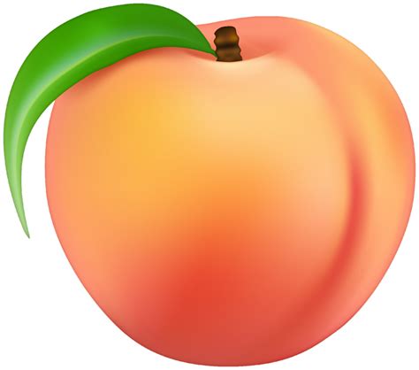 Peach Png Transparent Images Free Download Pngfre