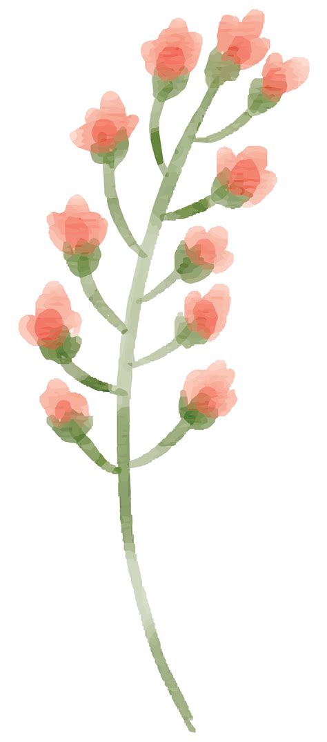 peach-flowers-fptfy-2.png 1,590×3,600 pixels | Free watercolor flowers, Flower images, Peach flowers