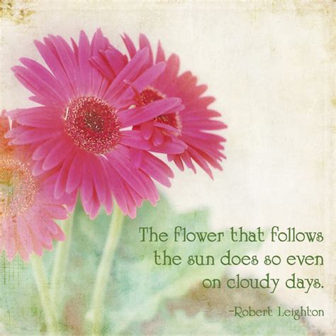 Pretty Flower Quotes Quotesgram