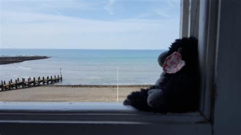 Haz clic ahora para jugar a backyard bbq. Ty Belgrave House (Aberystwyth) - Guesthouse Reviews ...