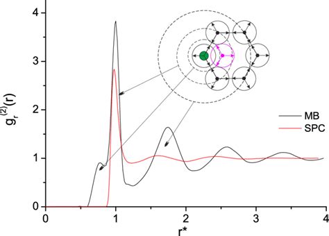 Radial Distribution Function At T 016 The Reference Molecule Is