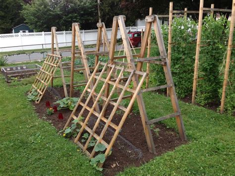 Tomato And Cucumber Ladders Vegetable Garden Vegetable Garden Design