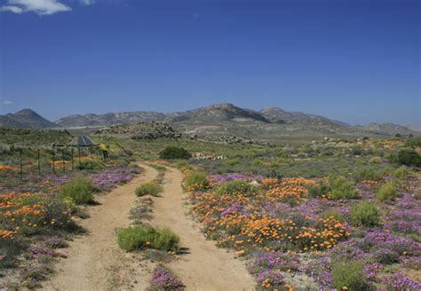 Northern cape from mapcarta, the free map. Northern Cape, South Africa