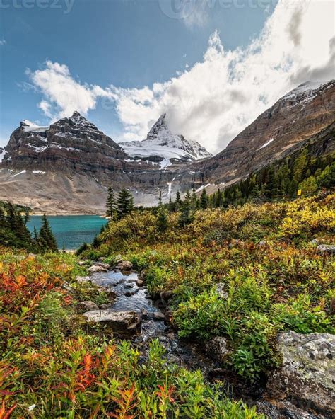 Mount Assiniboine With Stream Flowing In Autumn Forest On Lake Magog At