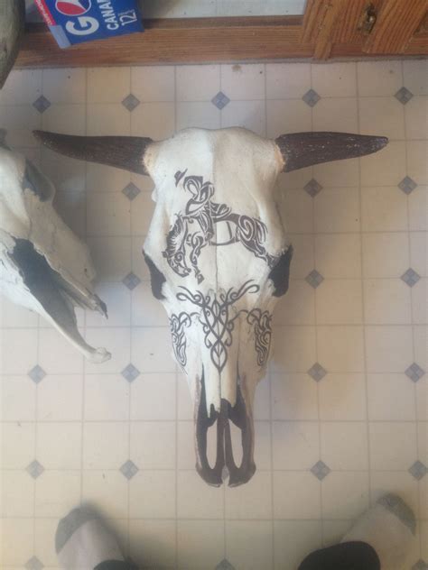 Hand Painted Cow Skull Cow Skull Art Painted Cow Skulls Cow Skull