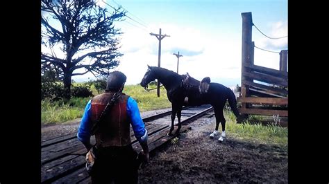 Red Dead Redemption 2 How Good Is Rachel ? Speed And Stamina Test And