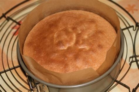 Check spelling or type a new query. Biskuit Kuchen Boden - Rezept mit Bild - kochbar.de