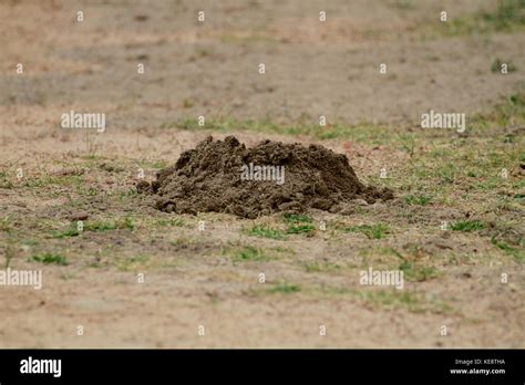 Pile Of Sand Soil Hi Res Stock Photography And Images Alamy