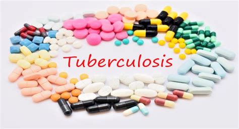 Provided by the centers for disease control and prevention (cdc). A survival guide for family members of a TB patient ...
