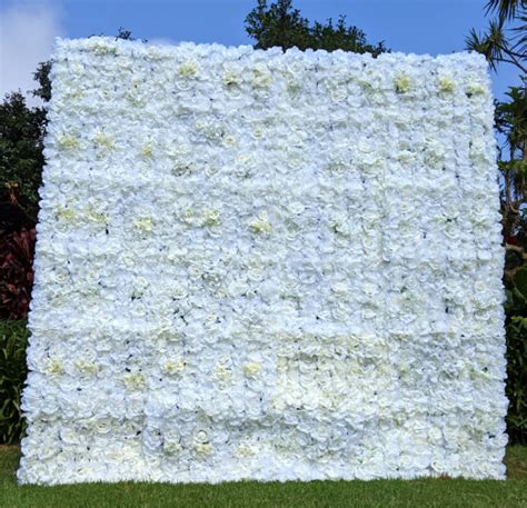 Flower Wall Hire Sydney Captiv8 Flower Wall Hire Flower Wall Hire