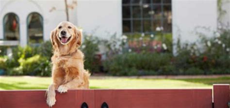 Amalan doa pagar rumah dari orang jahat pencuri dan perampok. 7 Jurus Ampuh Amankan Rumah dan Keluarga Rari Pencuri atau ...