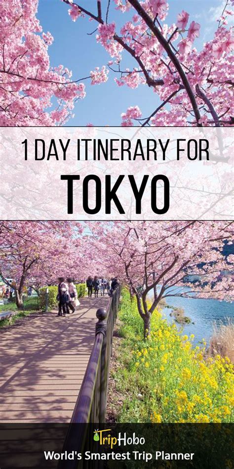 Tokyo Itinerary 1 Day 1 Day In Tokyo Japan Travel Destinations Day