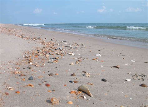 Some Of The Best Beachcombing North Carolina Beaches Outer Banks