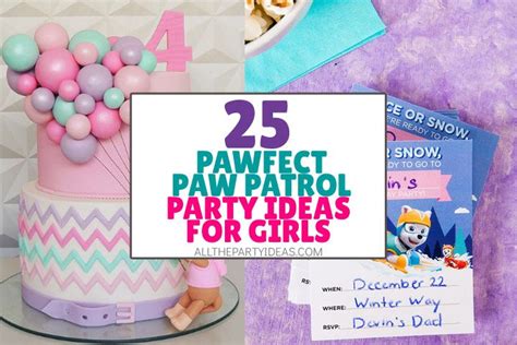 Paw Patrol Birthday Party Ideas Lowest Price Save 51 Jlcatjgobmx