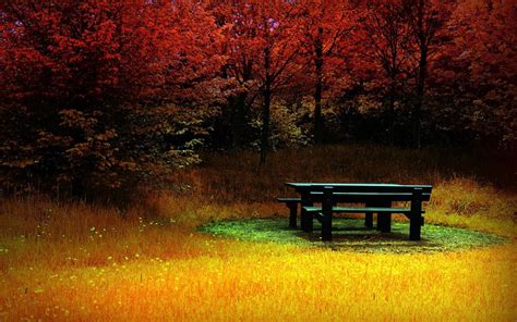 Wallpaper 1680x1050 Px Bench Colorful Fall Trees 1680x1050
