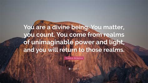 Terence Mckenna Quote You Are A Divine Being You Matter You Count