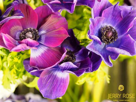 Maybe you would like to learn more about one of these? Pin by Jerry Rose Floral and Event De on Valentine's Day ...