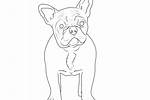 Ausmalbild Hunde Französische Bulldogge kostenlos ausdrucken