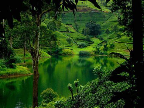 Green Hills In Sri Lanka Beautiful Places Best Places In The World