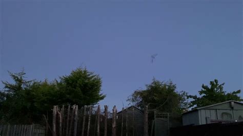 Check spelling or type a new query. Bats in My Garden - YouTube
