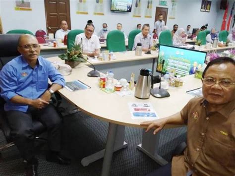 Namun, dalam proses transfusi darah, akan diutamakan untuk yang berasal dari golongan darah yang sama. Industri nanas terus diperkasa