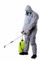 How To Clean House After Termite Fumigation Pictures