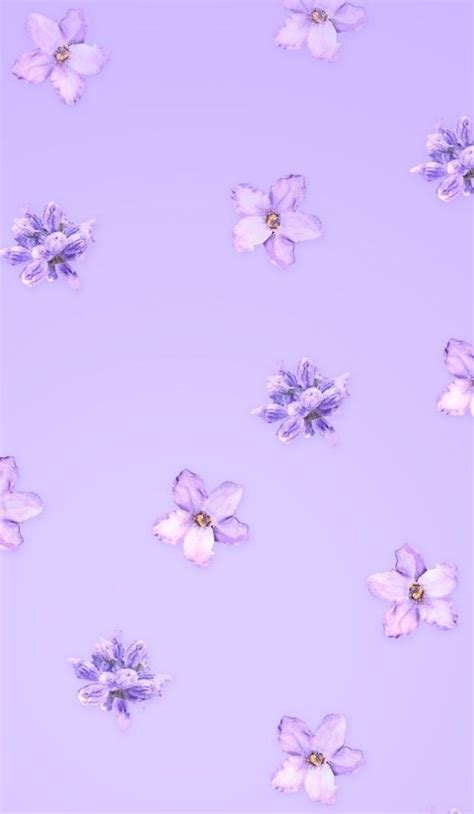 𝚃𝚊𝚙𝚎𝚝𝚢 Light Purple Wallpaper Purple Wallpaper Phone Purple