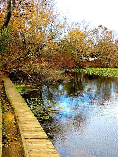 Maybe you would like to learn more about one of these? Fishing pier at Twin Lakes Preserve, Wantagh, New York ...