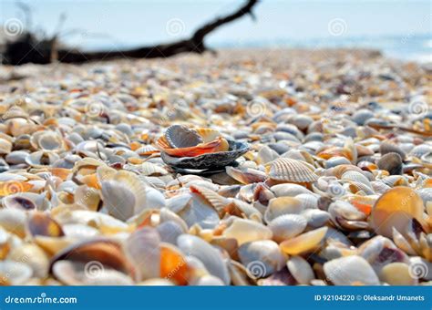Sea Waves Washed Clean Beach Made Of Shells Stock Photo Image Of