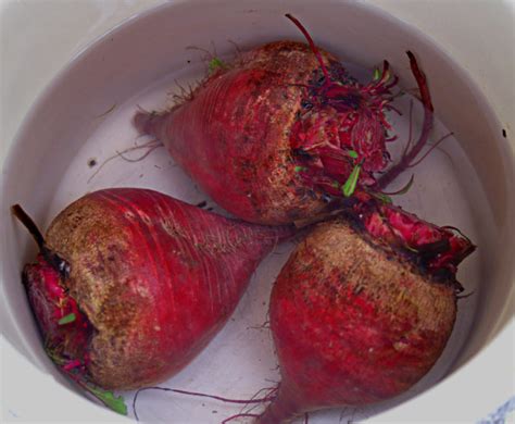 A guide on how bottle your own beetroot at home. Boiling-Beets.jpg (600×494) | Beet recipes, Cooking pork ...