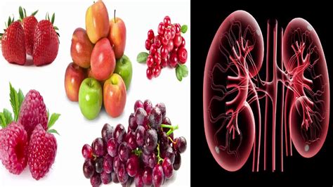 Top 7 Super Healthy Foods To Increase Kidney Function Youtube