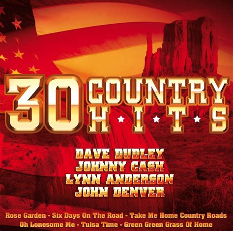 30 Country Hits 2cd Music
