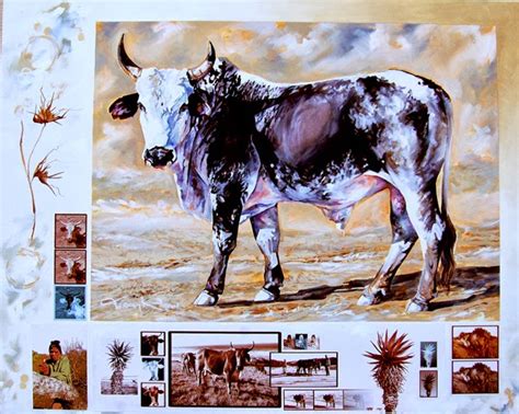 Terry Kobus Solo Exhibition Nguni Paintings Oil On Canvas