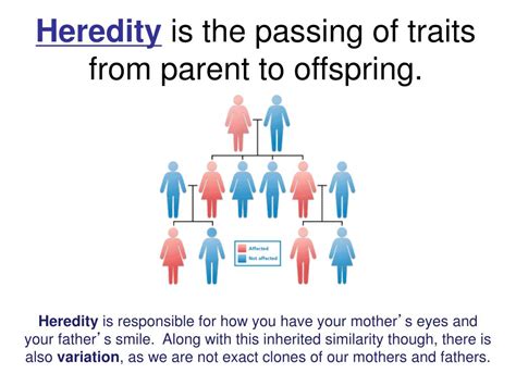 Ppt Heredity Is The Passing Of Traits From Parent To Offspring
