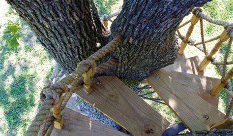 Canopystair is a modular system of steps that can be attached without tools to form a spiral staircase around a tree trunk, allowing one to walk up into the canopy above. extreme tree house