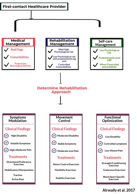 Treatment Based Classification Approach To Low Back Pain Physiopedia