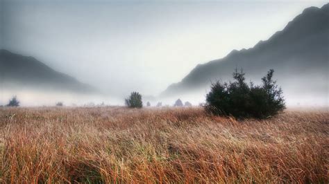 Foggy Landscape Wallpapers Top Free Foggy Landscape Backgrounds