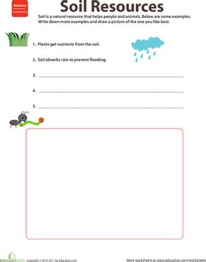 Why is preschool science important? Natural Resources: Soil | Worksheet | Education.com
