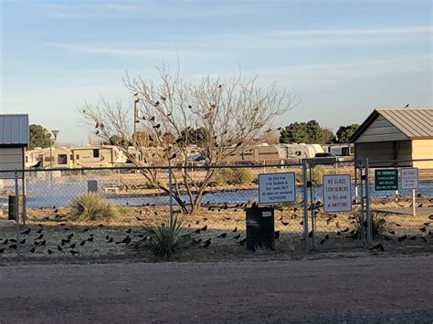 Hours may change under current circumstances Mesquite Oasis RV Park - 8 Photos - Odessa, TX - RoverPass