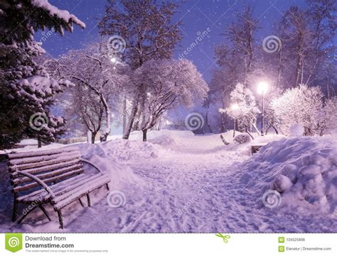 Beautiful Winter Night Landscape Of Snow Covered Bench