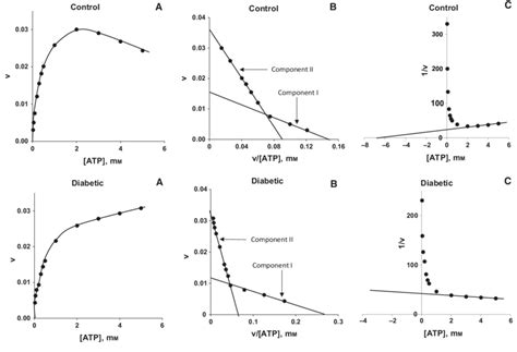 Typical Substrate Saturation Curves A And Corresponding Eadie Hofstee